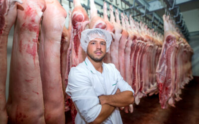 Limpieza de cámaras frigoríficas